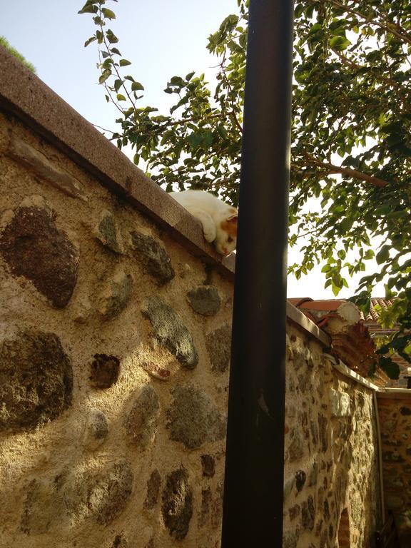 Aristonicus Boutique Hotel Bergama Exteriör bild