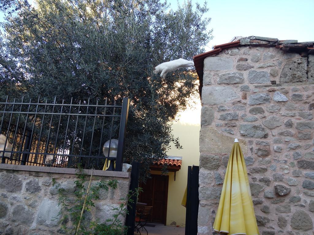Aristonicus Boutique Hotel Bergama Exteriör bild